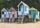A painting of the beach huts and pine trees at Wells beach by Margaret Heath.